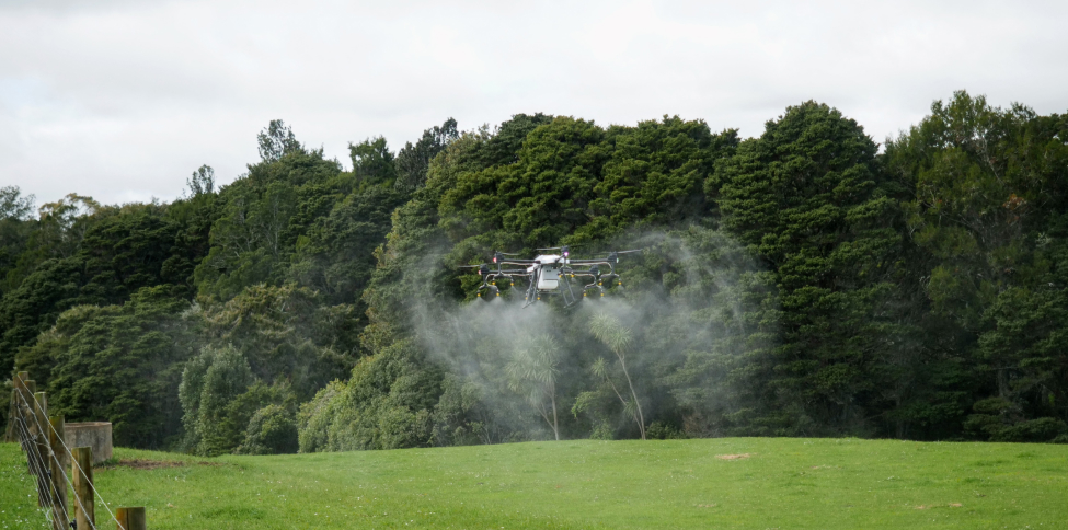 drone flying overhead spraying paddock weeds